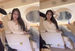 国产大乳,重塑民族乳业辉煌的崛起之路