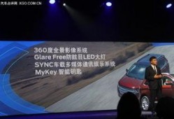 国产free,探索自由与创新的无限可能